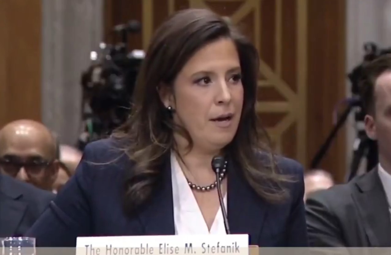 ΕΛΙΖ ΣΤΕΦΑΝΙΚ