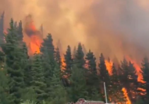 ΦΩΤΙΑ ΠΑΤΑΓΩΝΙΑ