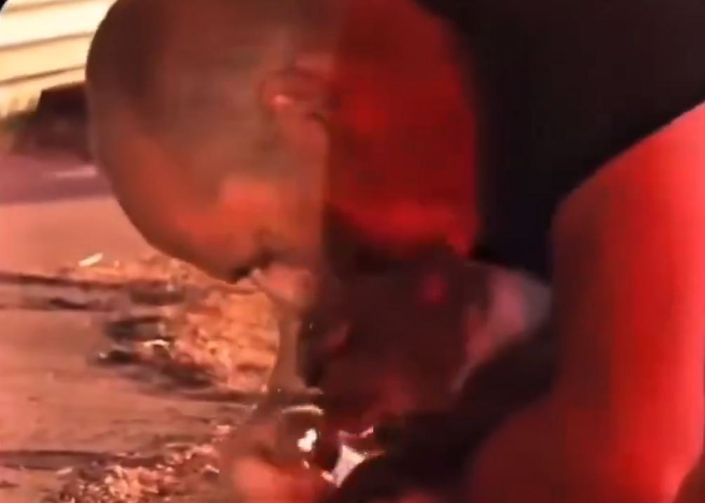 ΓΑΤΑ ΑΝΔΡΑΣ