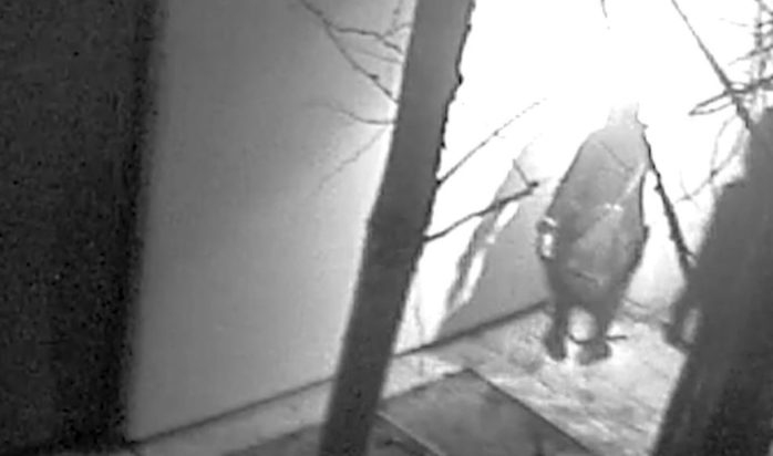 ΟΛΛΑΝΔΙΑ ΜΟΥΣΕΙΟ