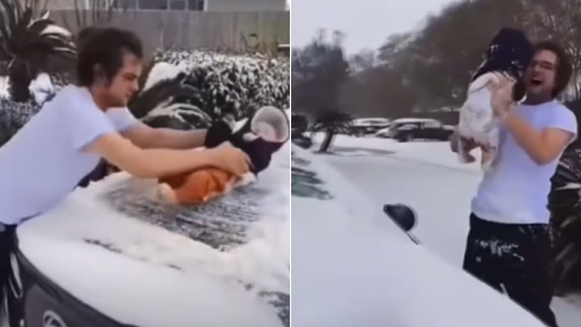 Βίντεο: Πατέρας μετέτρεψε το 3 μηνών μωρό του σε «υαλοκαθαριστήρα» για το χιόνι – Οργή στα social media