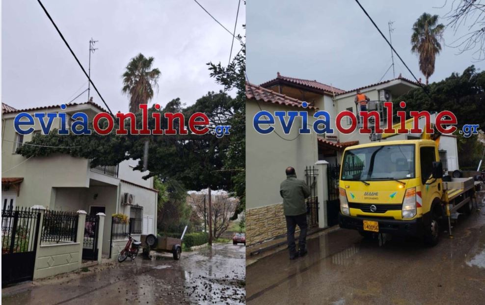 Εύβοια: Δέντρο παρέσυρε καλώδια ρεύματος και έπεσε σε μπαλκόνι σπιτιού – ΦΩΤΟ