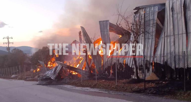 Αλμυρός: Φωτιά σε κτηνοτροφική μονάδα – Εργαζόμενοι απομάκρυναν εγκαίρως τα ζώα – Δείτε φωτογραφίες