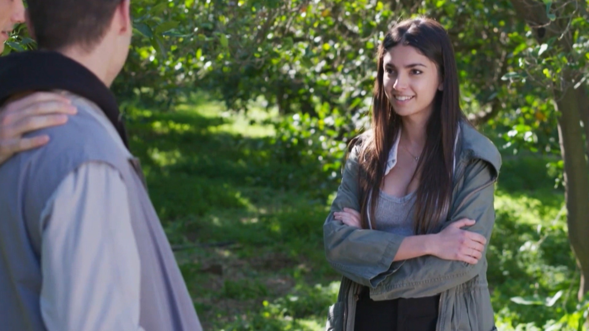 Η γη της ελιάς