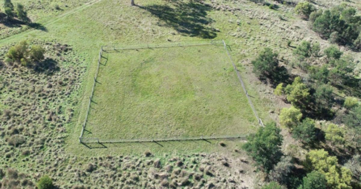 Μία νέα ανασκαφή σε μυστηριώδεις κύκλους στην Αυστραλία, αποκαλύπτει την πλούσια ιστορία των Αβορίγινων. Φωτογραφία: David Mullins