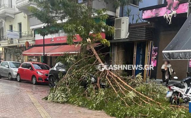 Χανιά: Σπασμένα κλαδιά, κατολισθήσεις και ετοιμόρροπες λαμαρίνες – Εικόνες από το σαρωτικό πέρασμα της κακοκαιρίας