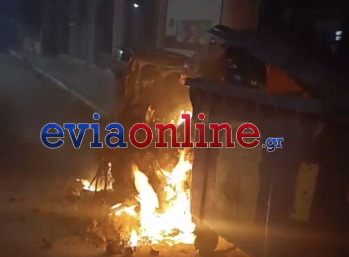 Κτηνωδία στην Εύβοια: Πέταξαν κουτάβια σε κάδο και έβαλαν φωτιά – ΒΙΝΤΕΟ