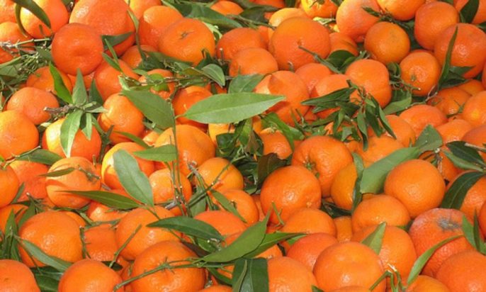 μανταρίνια