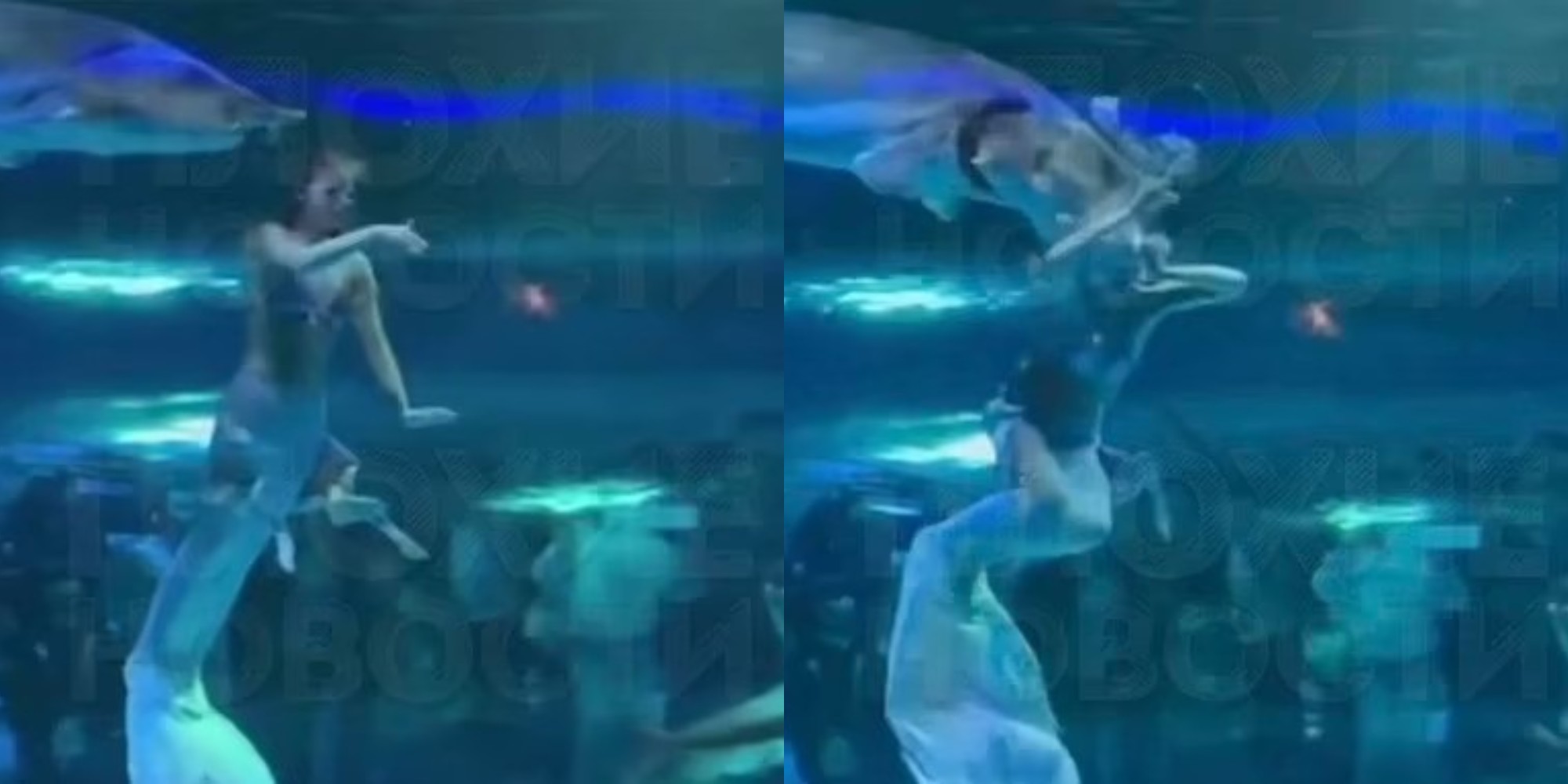 Σοκ σε ζωολογικό κήπο: Γοργόνα δέχθηκε επίθεση από τεράστιο ψάρι μέσα σε ενυδρείο – Βίντεο από την ανατριχιαστική στιγμή