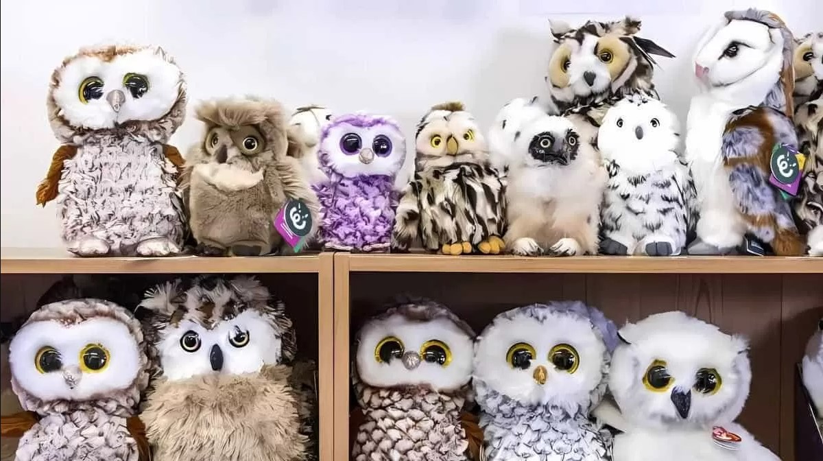 Οπτική ψευδαίσθηση: Μόνο οι πιο έξυπνοι άνθρωποι θα βρουν την πραγματική κουκουβάγια σε 5 δευτερόλεπτα