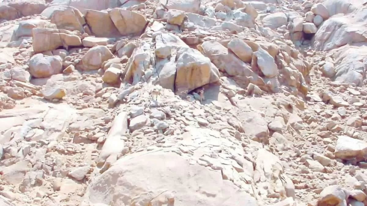 Οπτική ψευδαίσθηση: Μόνο αν έχεις παρατηρητικότητα ντετέκτιβ θα βρεις το ελάφι σε 7 δευτερόλεπτα