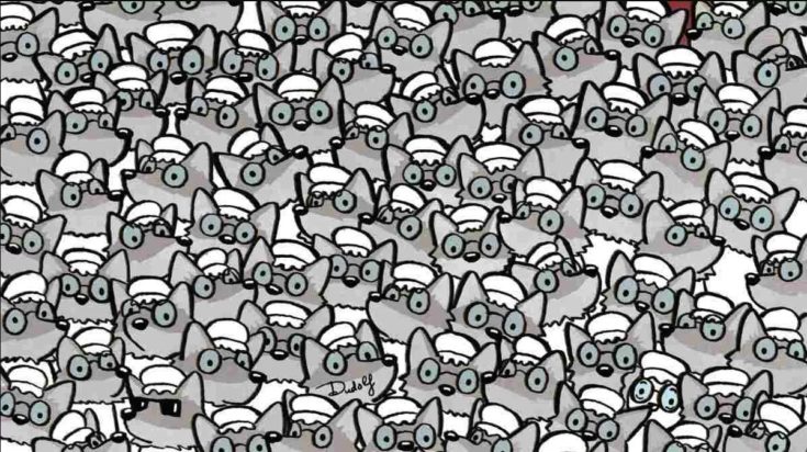 Οπτική ψευδαίσθηση: Μόνο οι πιο έξυπνοι άνθρωποι θα βρουν την ηλικιωμένη σε 7 δευτερόλεπτα