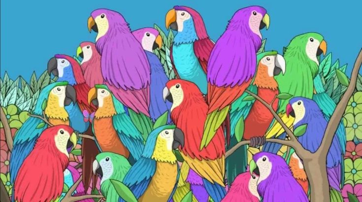 Οπτική ψευδαίσθηση: Μόνο 1 στους πέντε ανθρώπους θα βρει την πεταλούδα σε 5 δευτερόλεπτα