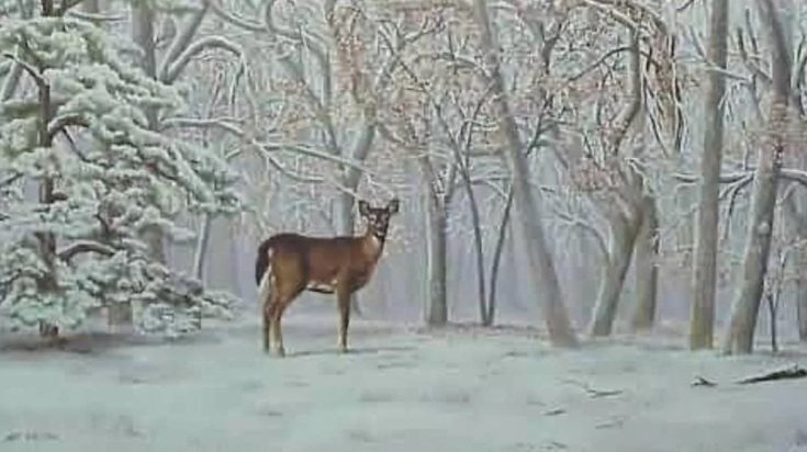 Οπτική ψευδαίσθηση: Μόνο 1 στους 10 ανθρώπους θα βρει το ελάφι σε 8 δευτερόλεπτα