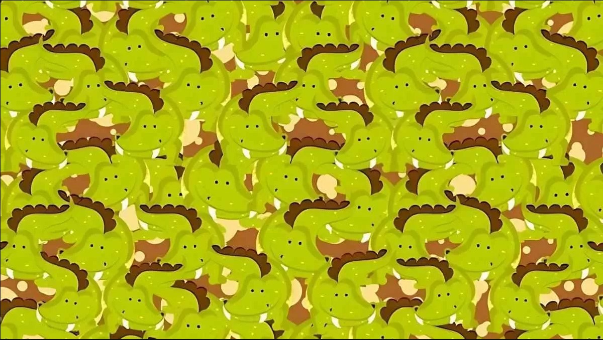 Οπτική ψευδαίσθηση: Μόνο 1 στους 5 ανθρώπους θα βρει την αρκούδα σε 5 δευτερόλεπτα