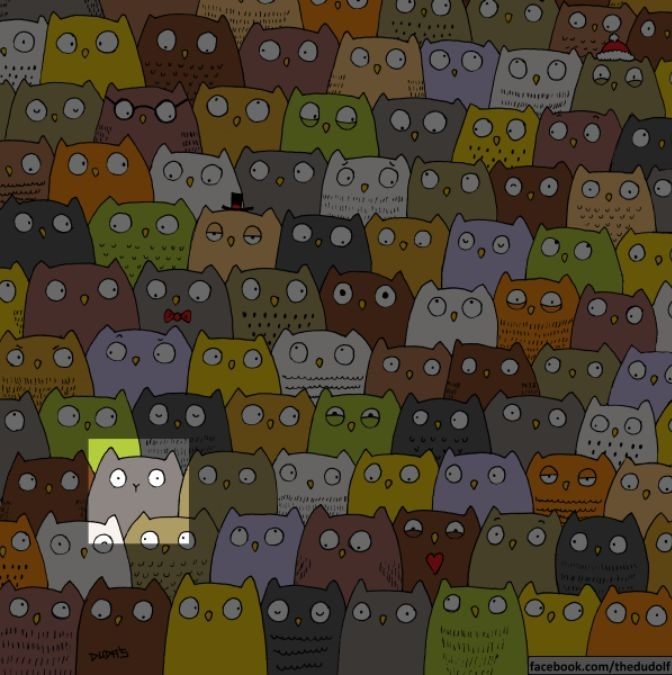 Οπτική ψευδαίσθηση, γάτα