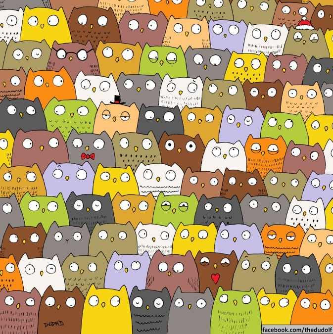 Οπτική ψευδαίσθηση, γάτα