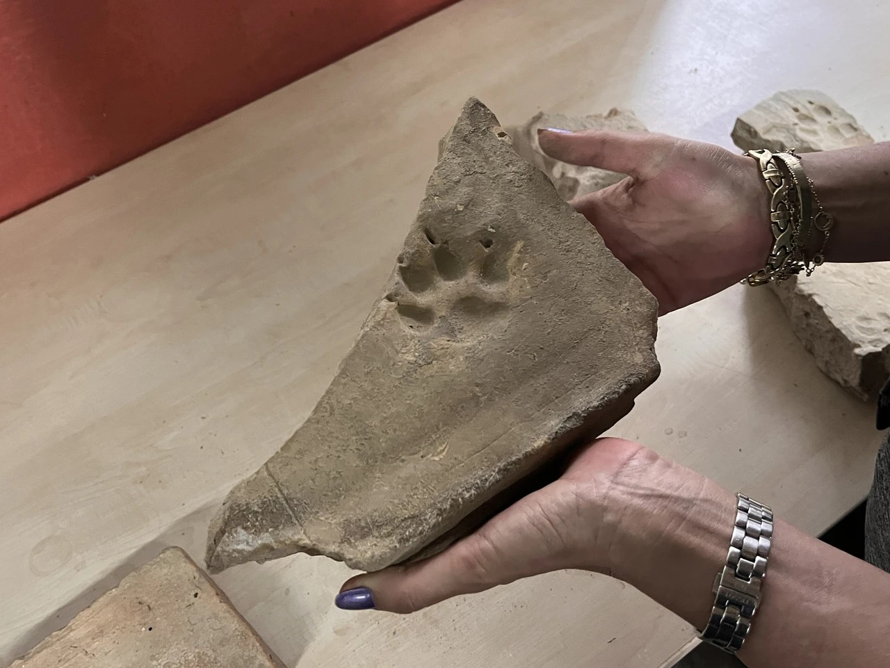 Αρχαία πατημασιά ζώου.