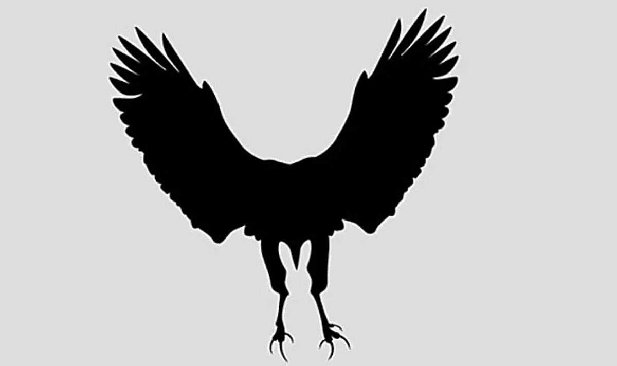 Τεστ προσωπικότητας: Αυτό που βλέπετε πρώτο αποκαλύπτει τον μεγαλύτερο φόβο σας