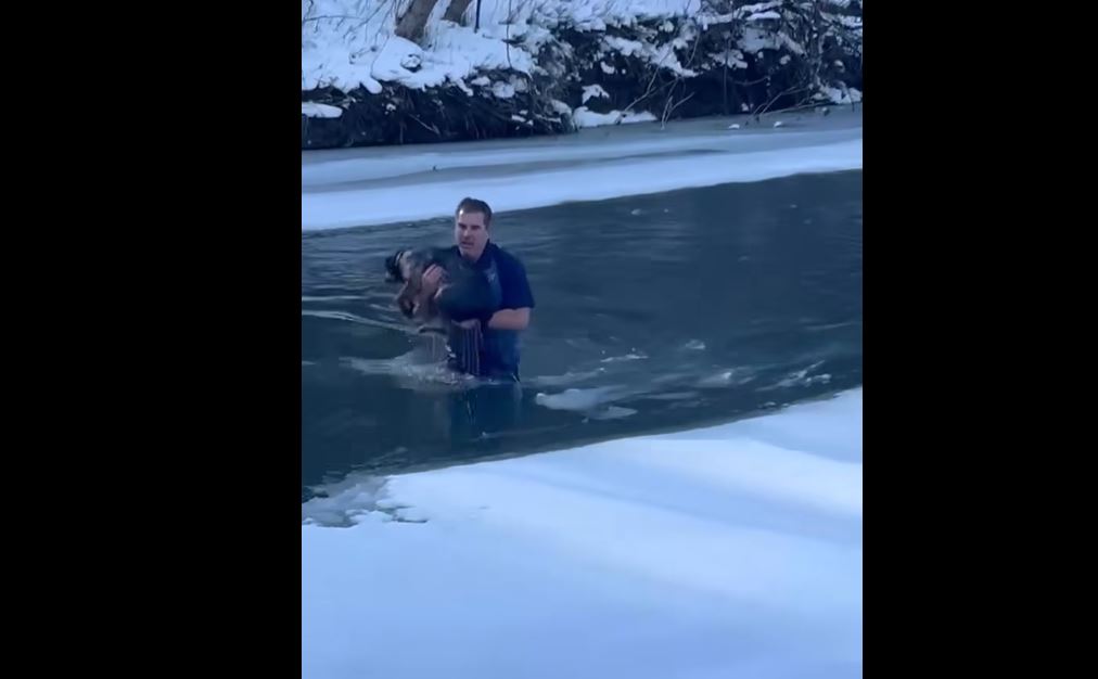 Βίντεο: Άνδρας πήδησε στον παγωμένο ποταμό για να σώσει σκύλο