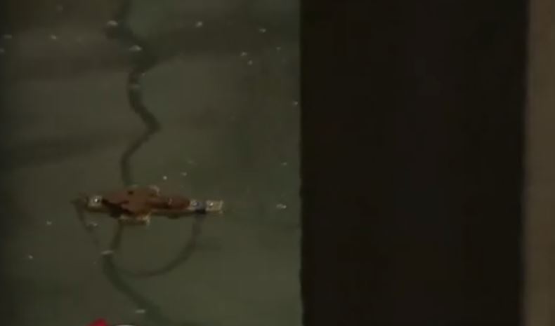 Θεοφάνια 2025: To ευτράπελο στη Δεξαμενή με τον Σταυρό