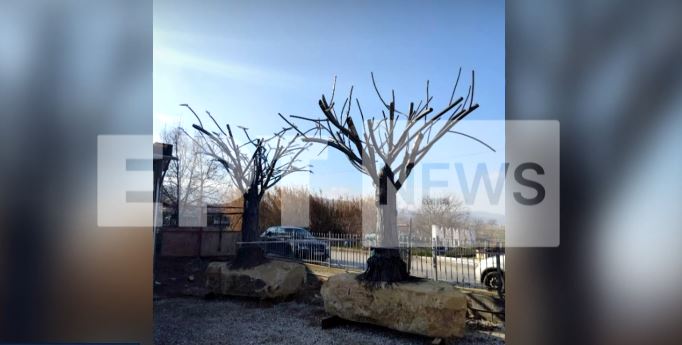 Μνημείο για τα θύματα στα Τέμπη