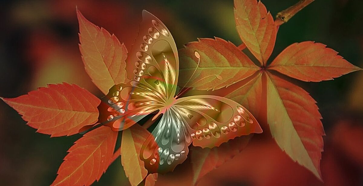 Τεστ προσωπικότητας: Αυτό που βλέπετε πρώτο στην εικόνα αποκαλύπτει αν είστε πραγματικά ικανοποιημένοι με τη ζωή σας