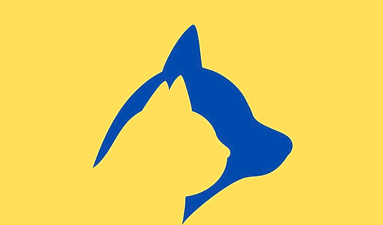 Τεστ προσωπικότητας: Αυτό που βλέπετε πρώτο στην εικόνα αποκαλύπτει κάτι σημαντικό για τις ανάγκες σας