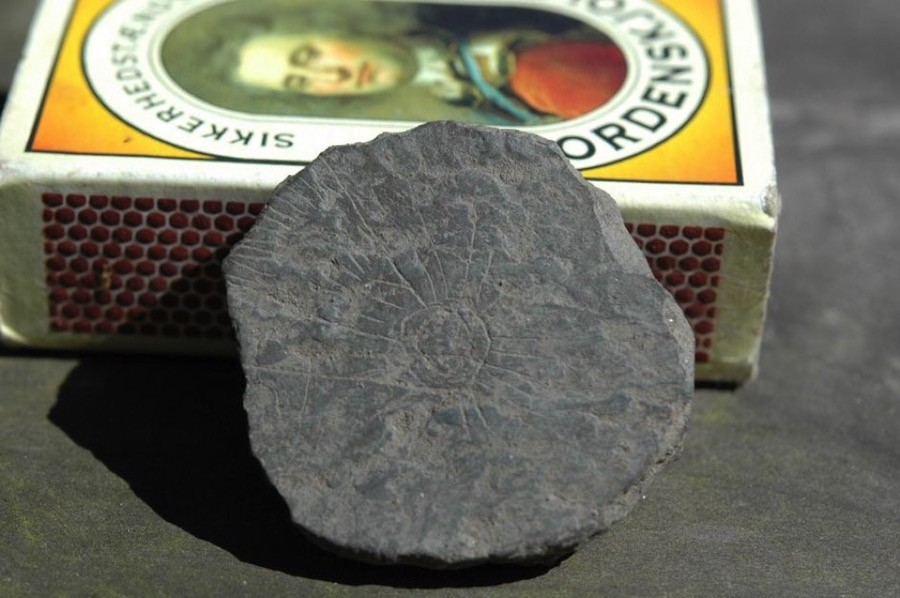 Λεπτομέρειες της ηλιακής πέτρας. Φωτογραφία: Vasagaard Vest