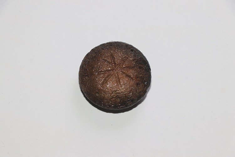 Κοντινή λήψη του εντυπωσιακού ευρήματος. Φωτογραφία: Orhan Kuzu/AA