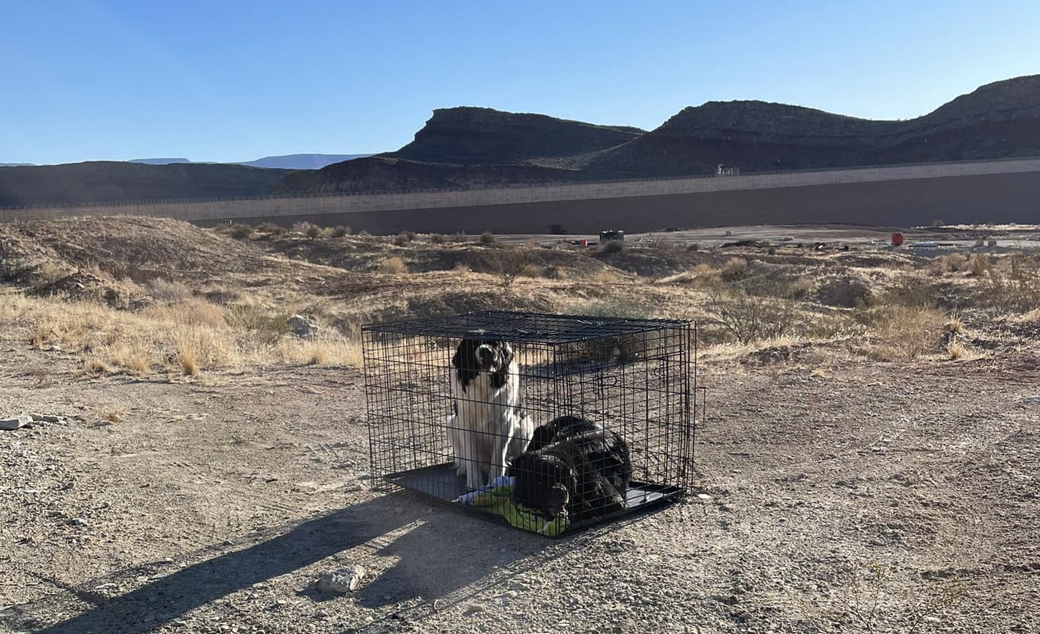 Σοκ και αγανάκτηση: Εντοπίστηκαν δύο σκύλοι σε κλουβί στην έρημο της Γιούτα – «Τα ζώα δεν είναι αναλώσιμα»