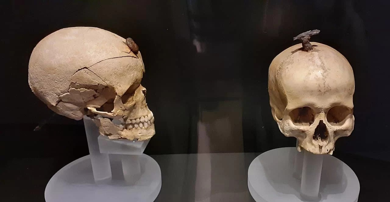 Κρανία της Εποχής του Σιδήρου στο Puig Castellar.