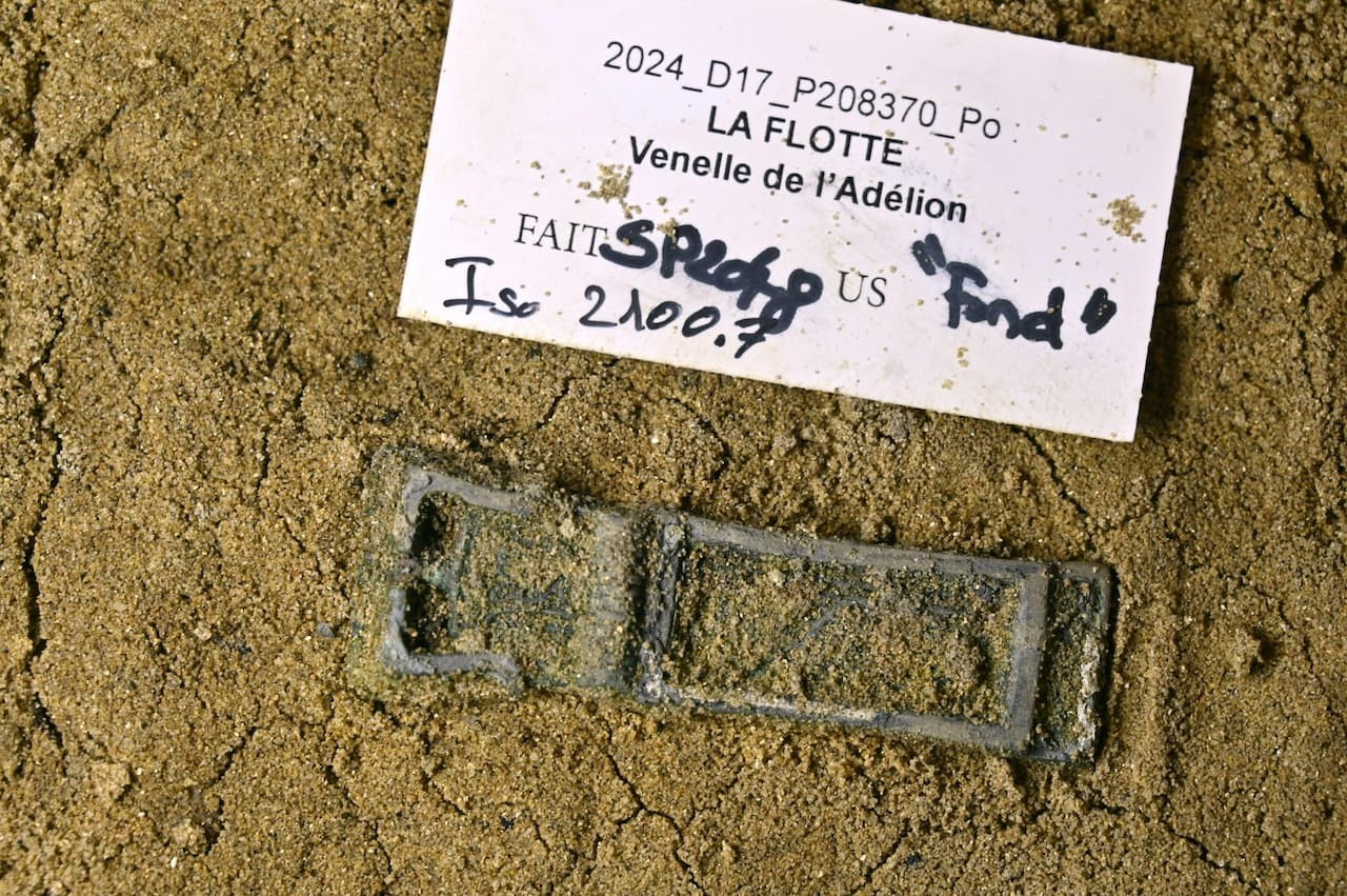 Αγκράφα ζώνης από κράμα χαλκού με περίτεχνη διακόσμηση. Φωτογραφία: Patrick Ernaux / Inrap