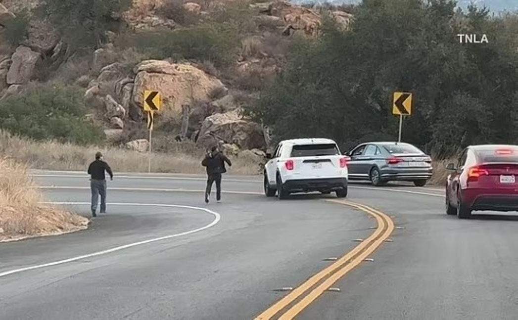 Βίντεο: Οργισμένοι κάτοικοι του Λος Άντζελες συλλαμβάνουν εμπρηστή – «Λάθος γειτονιά φίλε»