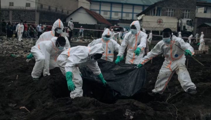 ΓΚΟΜΑ ΠΤΩΜΑΤΑ