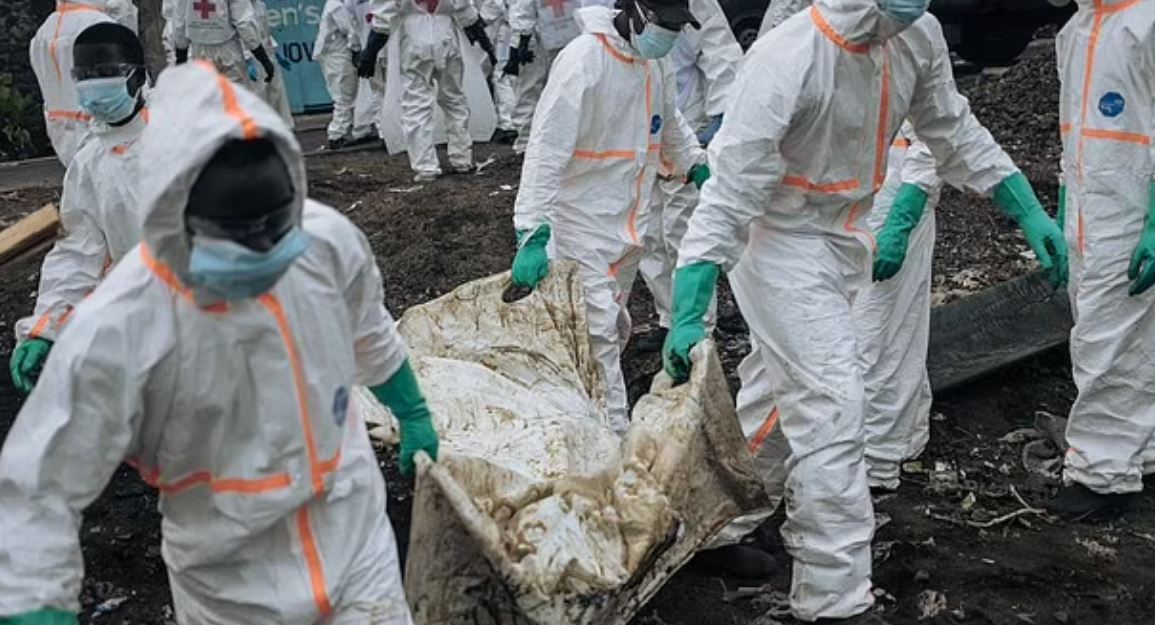 ΚΟΝΓΚΟ ΠΤΩΜΑΤΑ