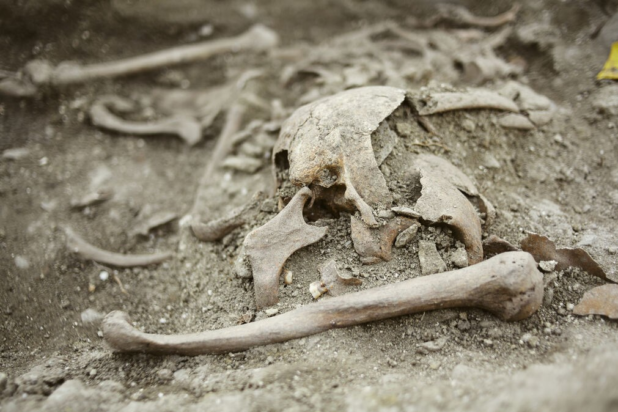 Λεπτομέρεια από τα λείψανα. Φωτογραφία: Milica Nikolić