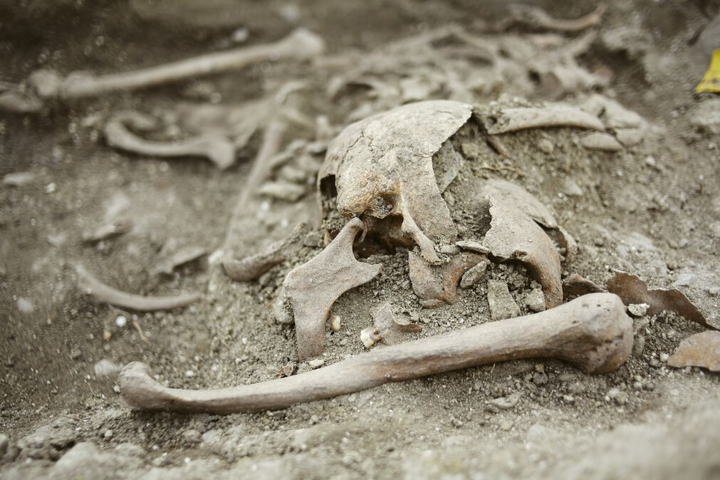 Λεπτομέρεια από τα λείψανα. Φωτογραφία: Milica Nikolić