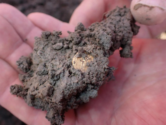 Ένα από τα χρυσά ρωμαϊκά νομίσματα που ανακαλύφθηκαν.