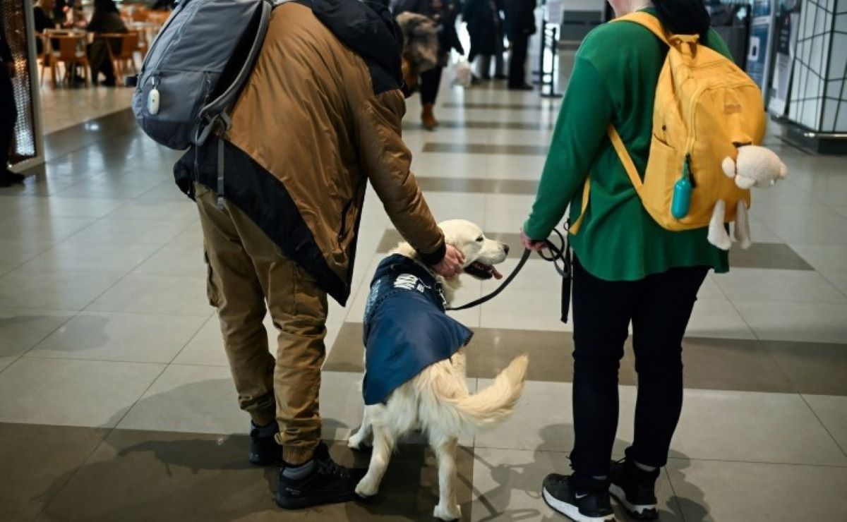 Ντίνο: Ο «σκύλος ζεν» που χαλαρώνει τους νευρικούς ταξιδιώτες στο αεροδρόμιο των Σκοπίων