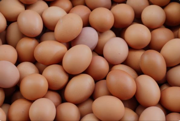 Ψάχνουν τους… αυγοκλέφτες: Άρπαξαν 100.000 βιολογικά αυγά από μια αποθήκη – «Πρόκειται για κακούργημα, λόγω της αξίας των κλοπιμαίων»