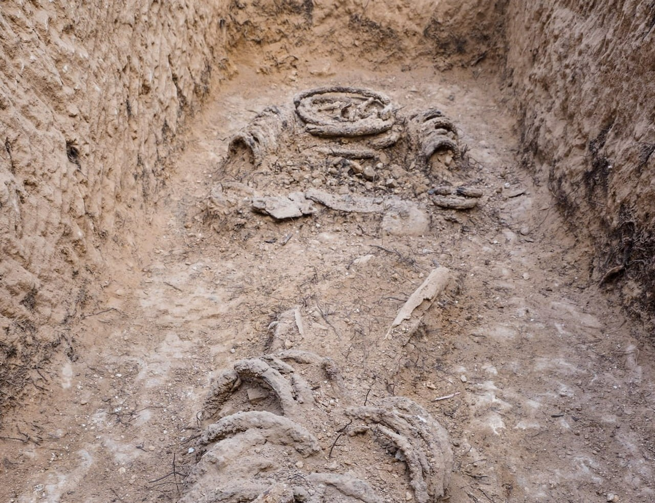 Τα λείψανα του «μοναχού» κατά την ανακάλυψη. Φωτογραφία: Israel Antiquities Authority