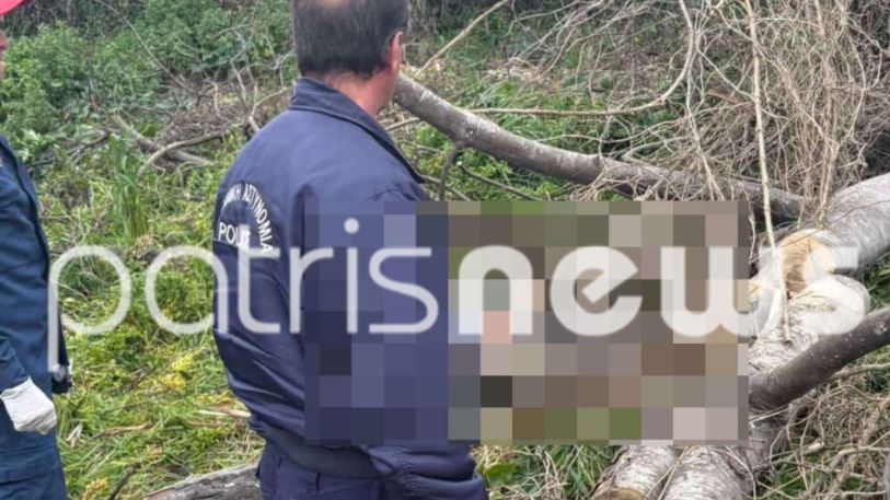 Τραγωδία στην Ηλεία: Νεκρός 27χρονος που καταπλακώθηκε από δέντρο