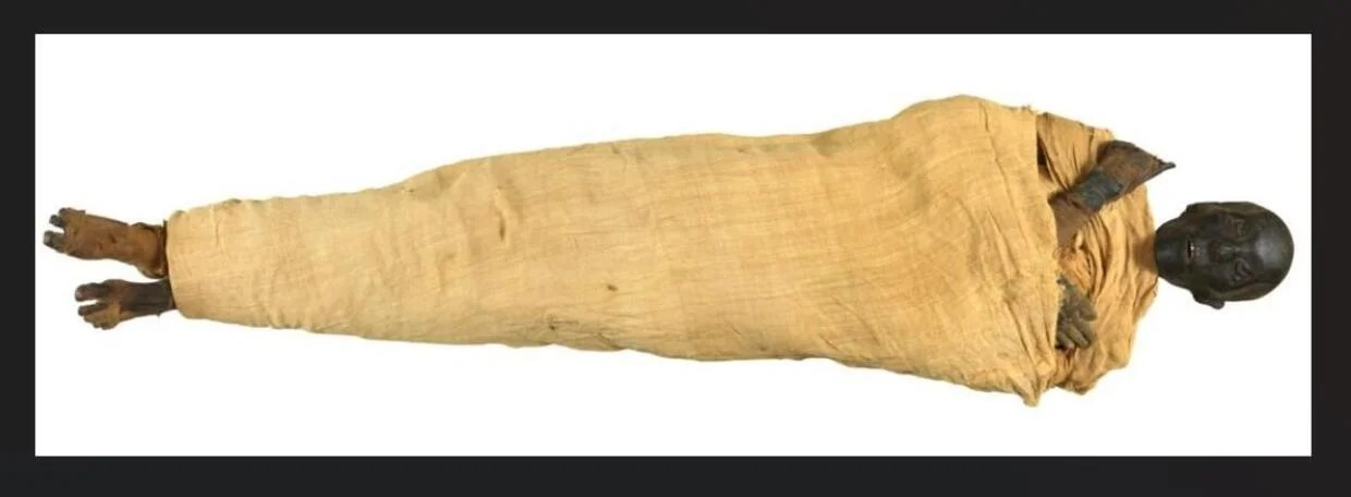 Η μούμια του βασιλιά Τούθμωση ΙΙ, ο οποίος κυβέρνησε κατά τη 18η Δυναστεία της Αρχαίας Αιγύπτου, σε φωτογραφία από το Εθνικό Μουσείο Αιγυπτιακού Πολιτισμού. Φωτογραφία: National Museum of Egyptian Civilization