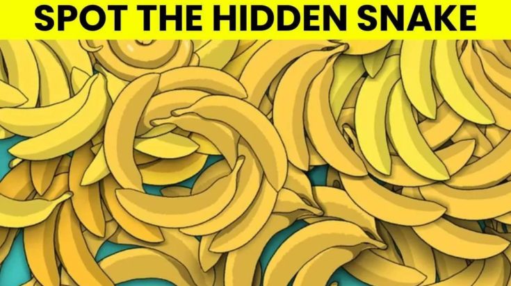 Οπτική ψευδαίσθηση: Μόνο αν είσαι ο Σέρλοκ Χολμς θα βρεις το φίδι σε 5 δευτερόλεπτα