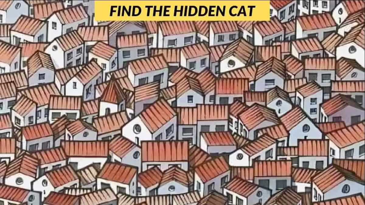 Οπτική ψευδαίσθηση: Μόνο αν έχεις παρατηρητικότητα ντετέκτιβ θα βρεις την γάτα σε 6 δευτερόλεπτα