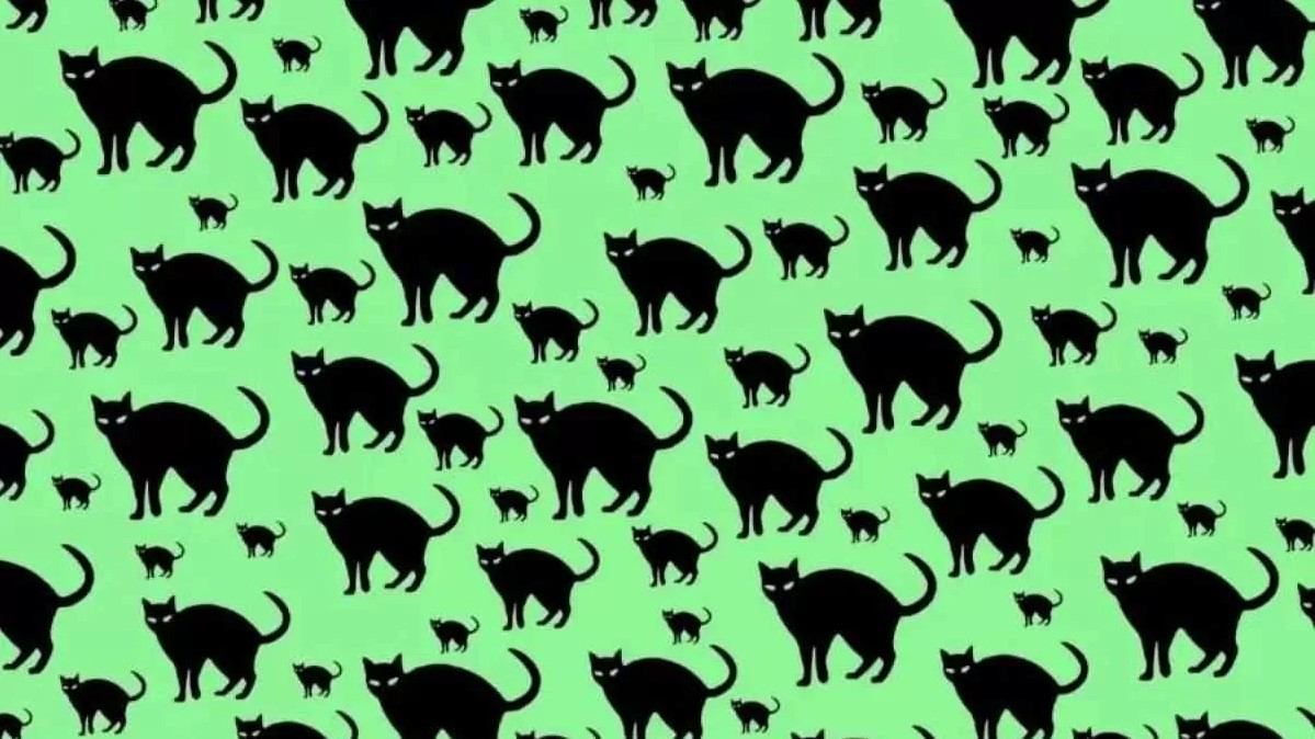 Οπτική ψευδαίσθηση: Μόνο αν είσαι ο Σέρλοκ Χολμς θα βρεις το ποντίκι σε 6 δευτερόλεπτα