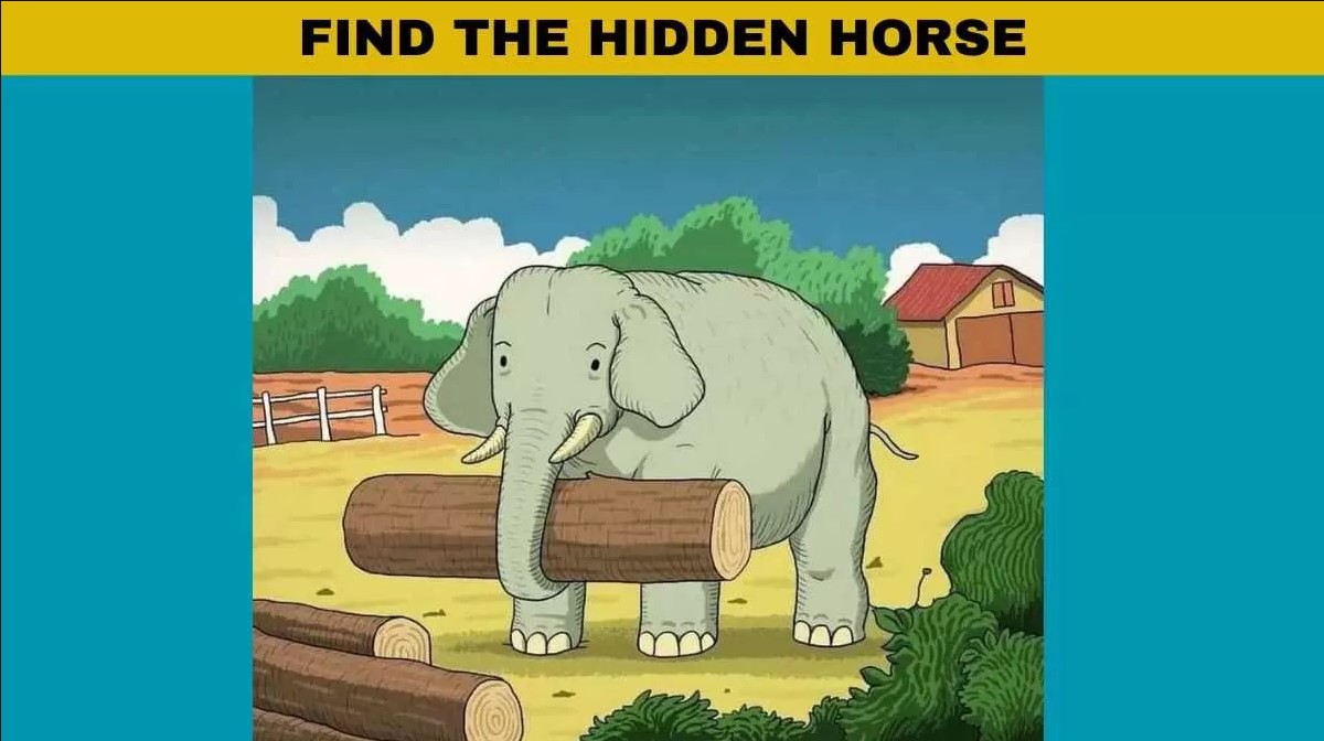 Οπτική ψευδαίσθηση: Μόνο οι πιο έξυπνοι άνθρωποι θα βρουν το άλογο σε 5 δευτερόλεπτα