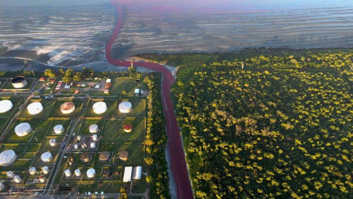 κανάλι κόκκινο Αργεντινή