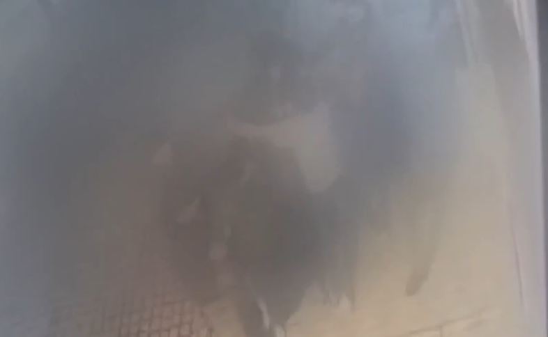 Θεσσαλονίκη: Άγρια συμπλοκή μεταξύ αλλοδαπών έξω από κατάστημα στο κέντρο της πόλης – ΒΙΝΤΕΟ